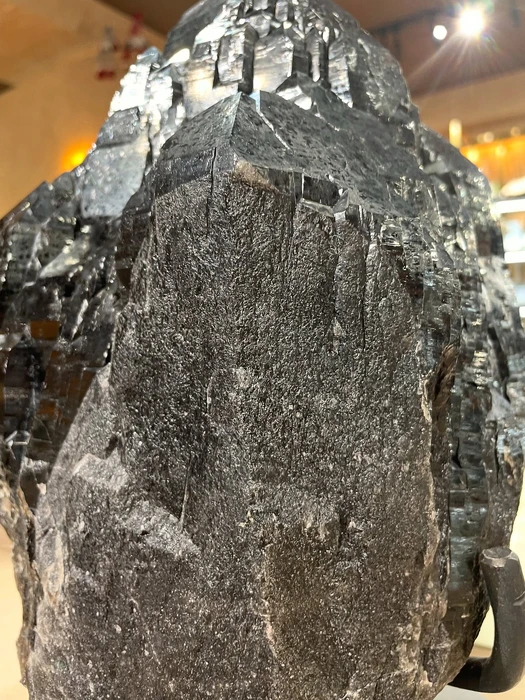 画像2742