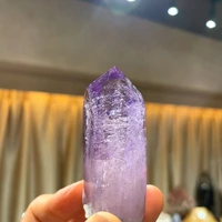 画像2782