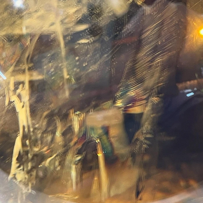 画像2909