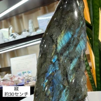 画像3117