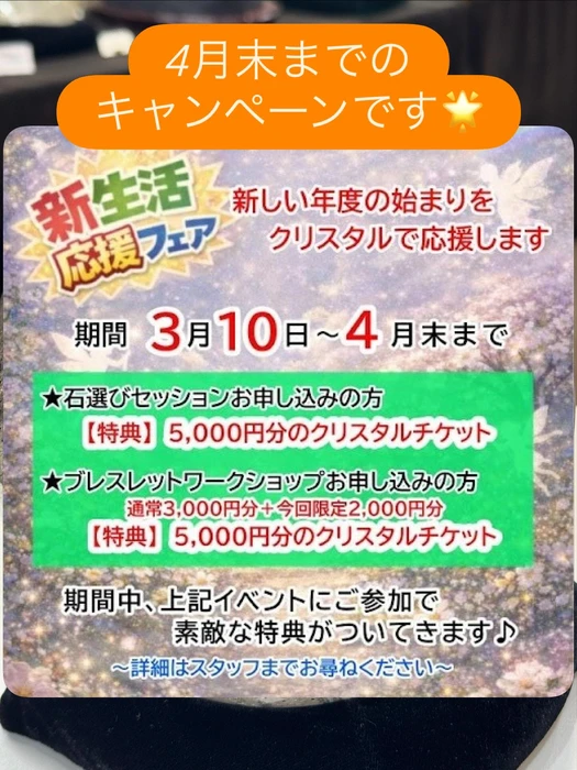 画像3134