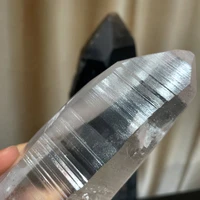 画像3180
