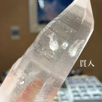 画像3181