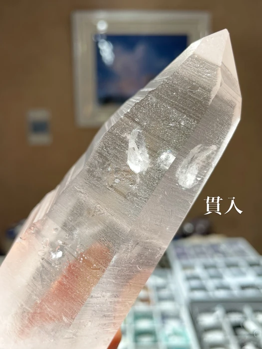 画像3181