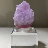 画像3303