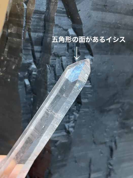 画像3313