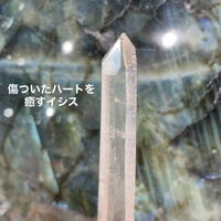 画像3314