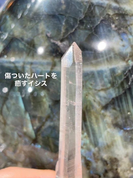 画像3314