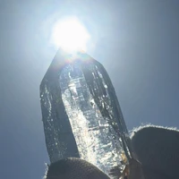画像3337