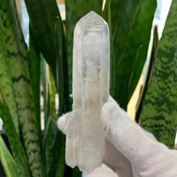 画像3384