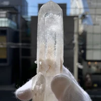 画像3385