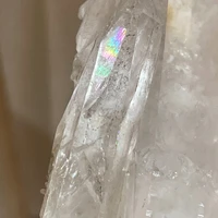 画像3386