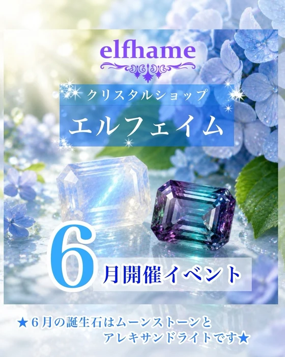 画像3459