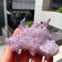 画像3534