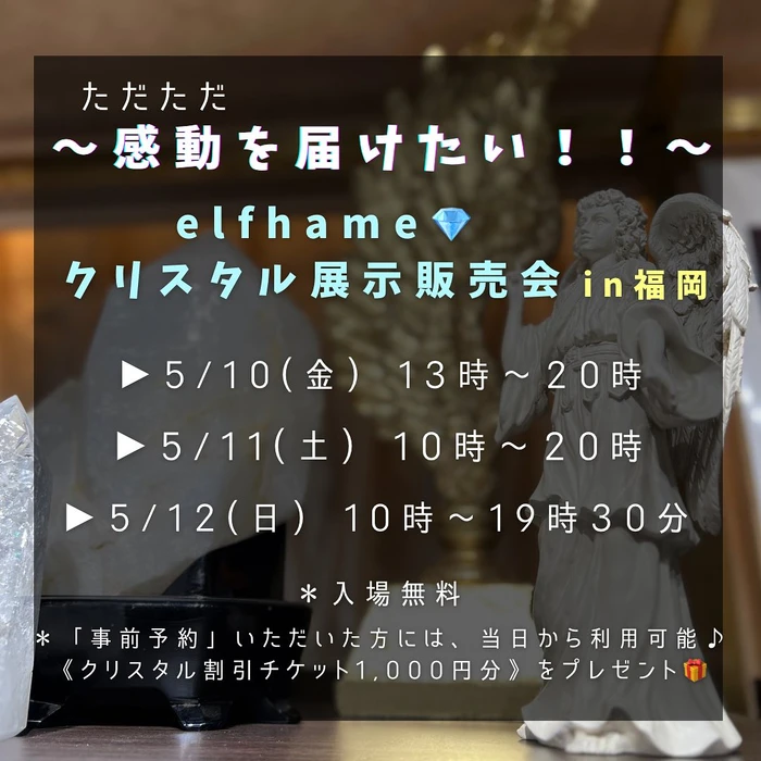 画像366