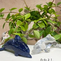 画像3811
