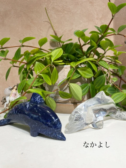画像3811