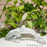 画像3812