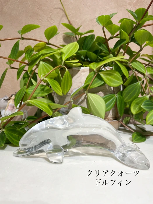 画像3812