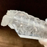 画像388