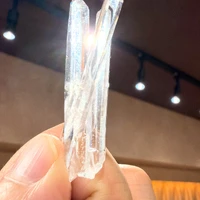 画像3998