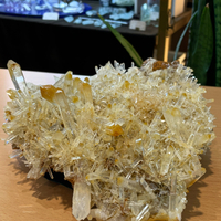 画像4038