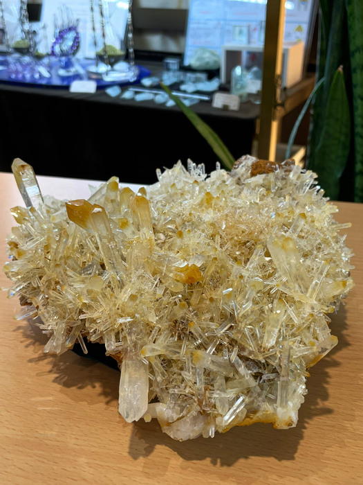 画像4038