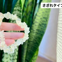 画像489