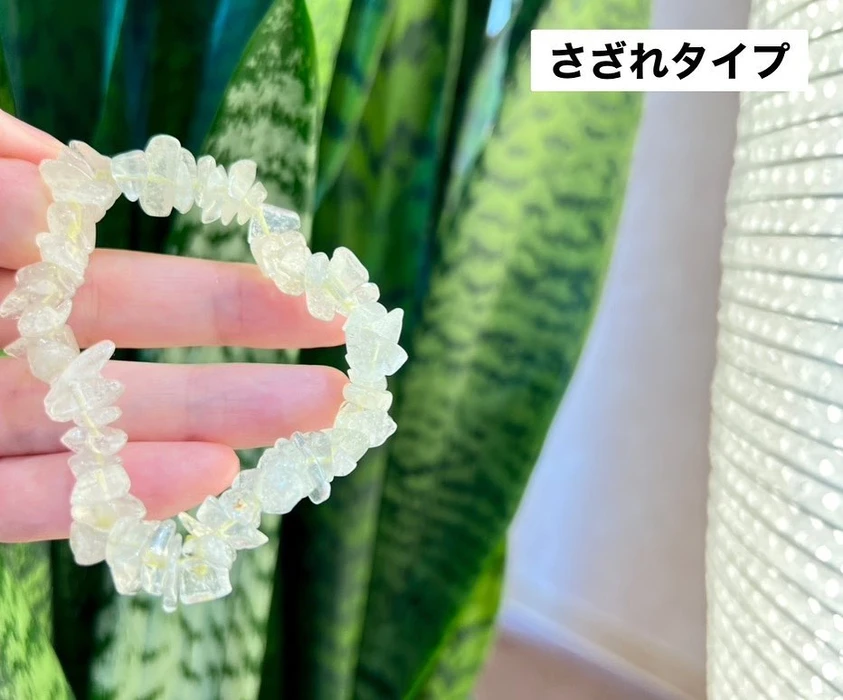 画像489