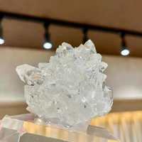 画像506
