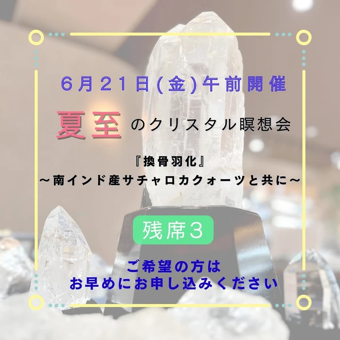 画像516