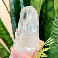 画像733