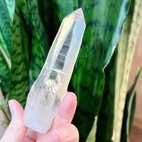 画像767