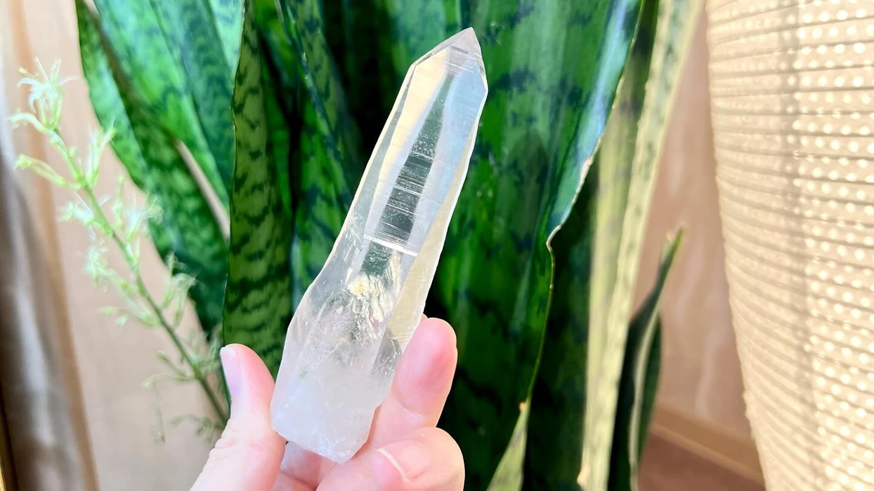 画像767